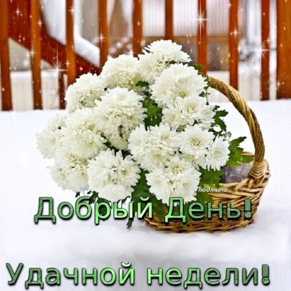 Добрый день