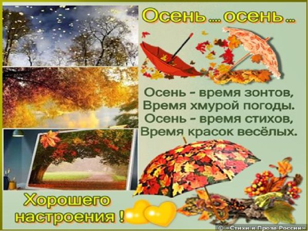 Стихотворение о осеннем зонте