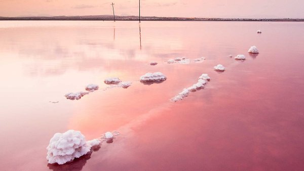 Розовая Лагуна Салинас де Торревьеха.
