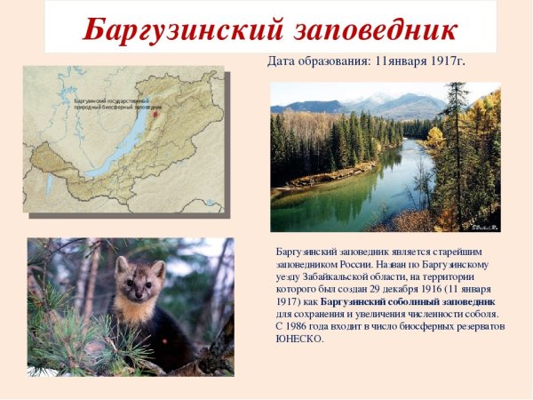 На территории России создан первый заповедник – Баргузинский 1917