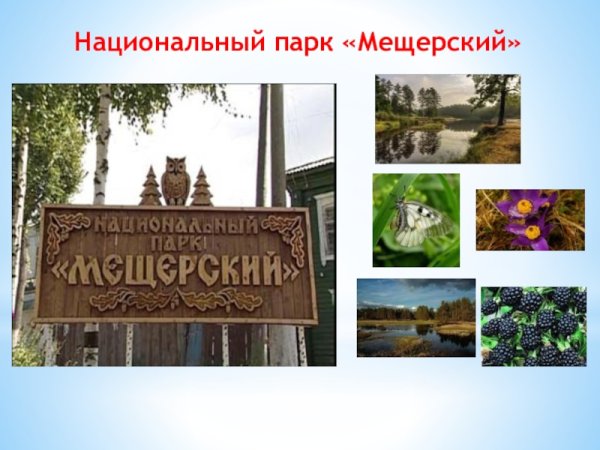 Мещёрский национальный парк Рязанской