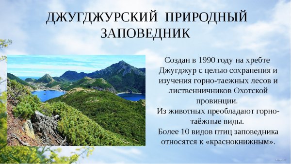 Заповедники Хабаровского края