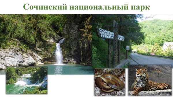 Национальный парк Сочинский охрана природы Черноморского побережья