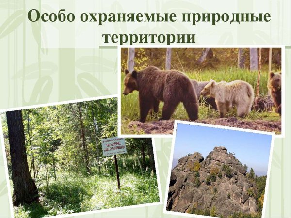 Особо охраняемые природные территории