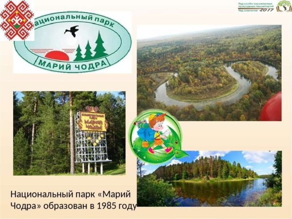 Заповедник в Марий Эл Марий Чодра