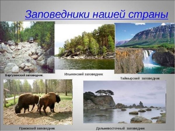 Заповедники заказники национальные парки