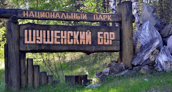 Шушенский Бор Перовское лесничество