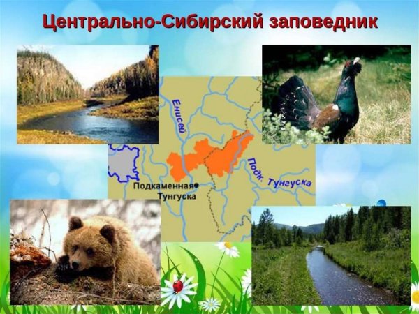 Сибирский заповедник