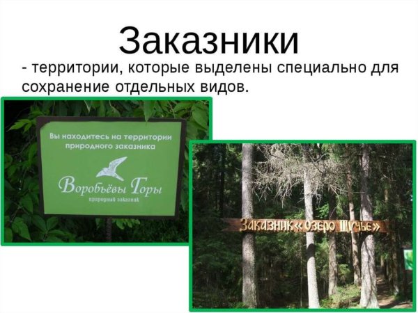 Заказники презентация