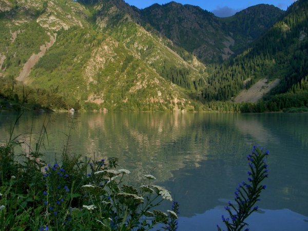 Харовые водоросли исссыккуля
