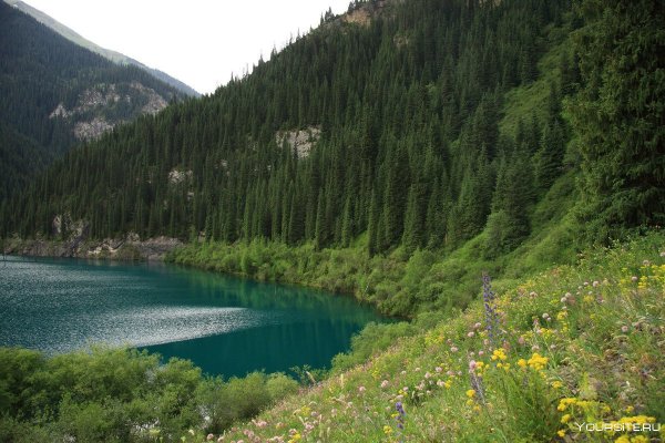 Каинды Киргизия поселок