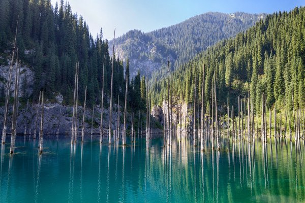 Озеро Каинды в Казахстане фото