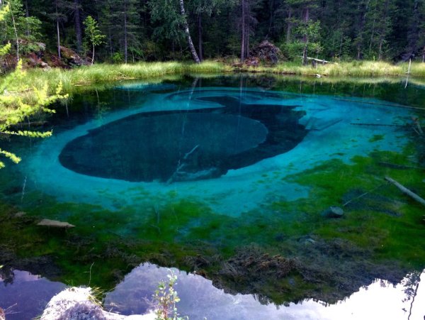 Гейзерное озеро Алтай Лобачев Юрий