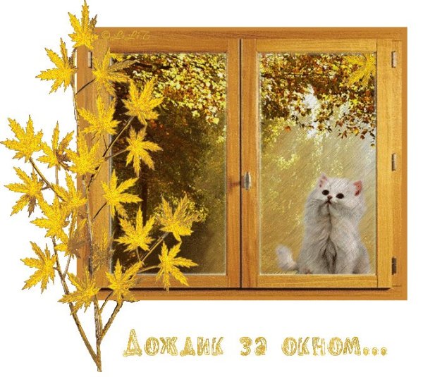 Анимация окна осень