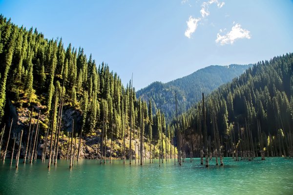 Озеро Каинды Алматинская Казахстан