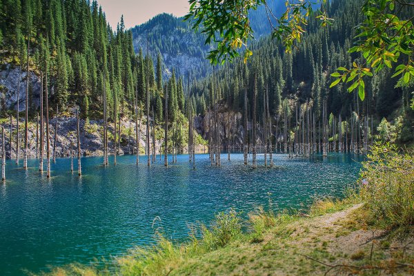 Озеро Каинды в Казахстане