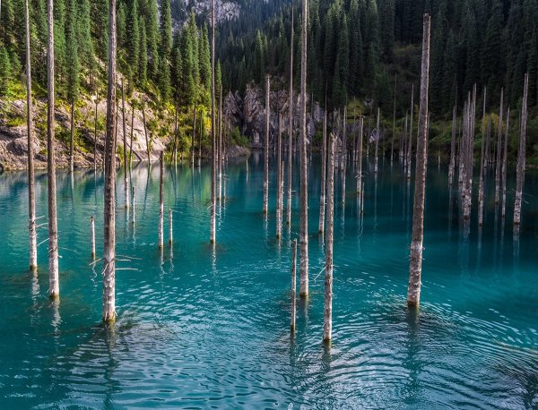 Кольсай Каинды