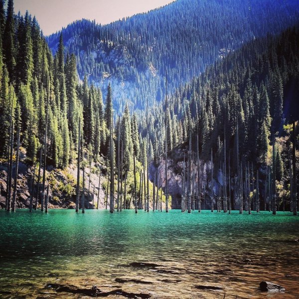 Кольсай Каинды