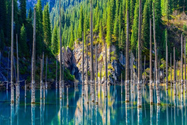 Озеро Каинды в Казахстане