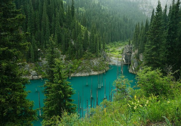 Озеро Каинды в Казахстане