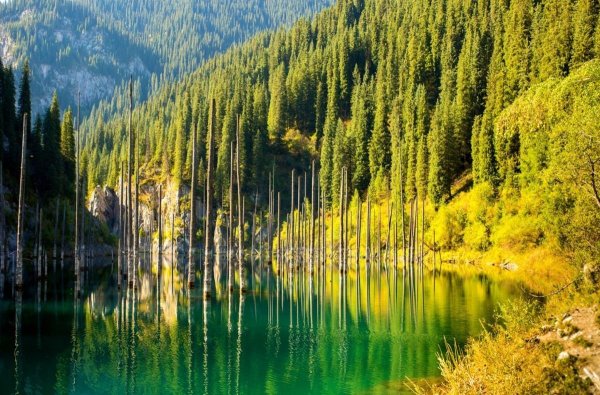 Озеро Каинды в Казахстане