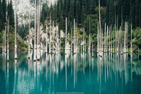 Кольсай Каинды