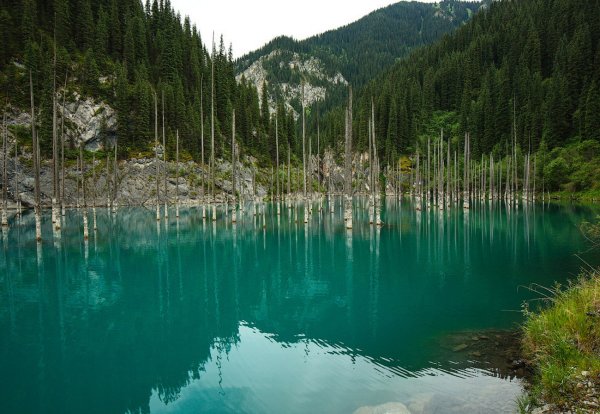 Подводный лес озера Каинды