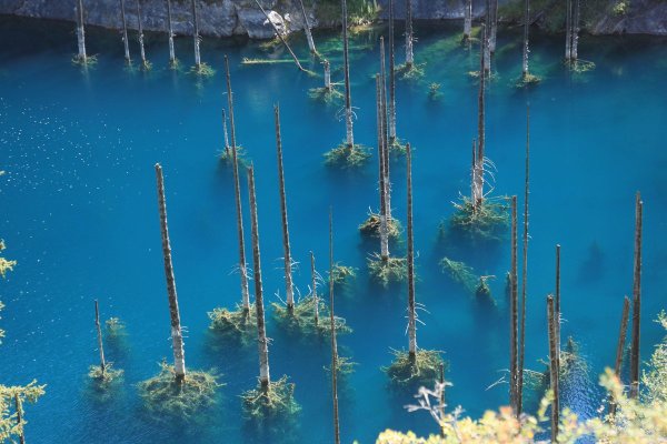 Озеро Каинды в Казахстане