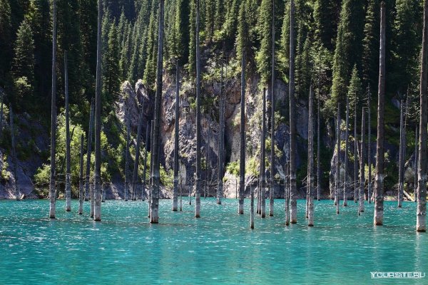 Озеро Каинды в Казахстане