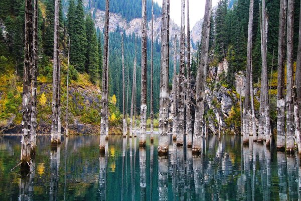 Озеро Кайынды Казахстан