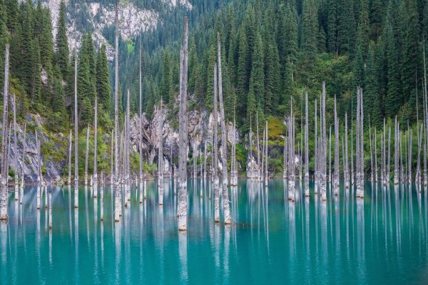 Казахстан озеро Каинды зима