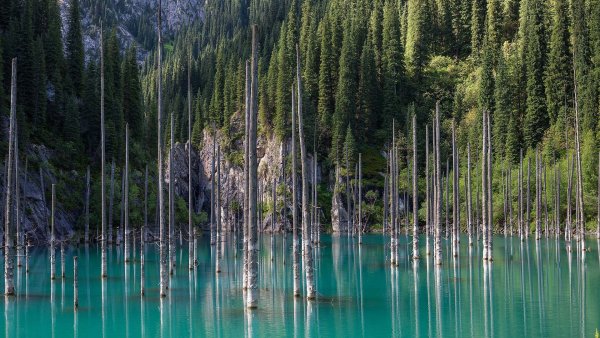 Кольсай Каинды