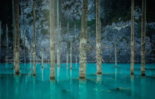 Озеро Каинды в Казахстане под водой