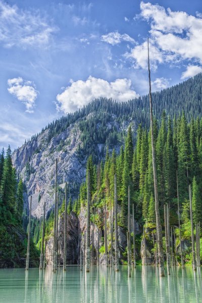 Озеро Каинды в Казахстане