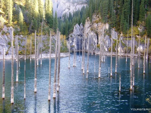 Озеро Каинды в Казахстане