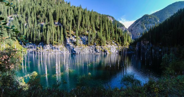 Казахстан природа озеро Каинды