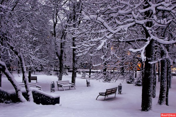Городской парк зимой