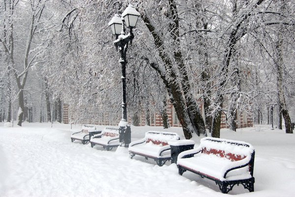 В зимнем парке