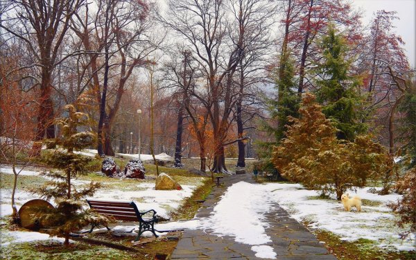 Парк ранней весной