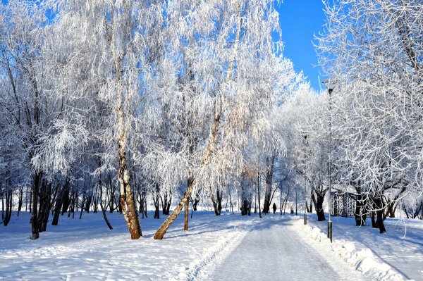 Зимний парк