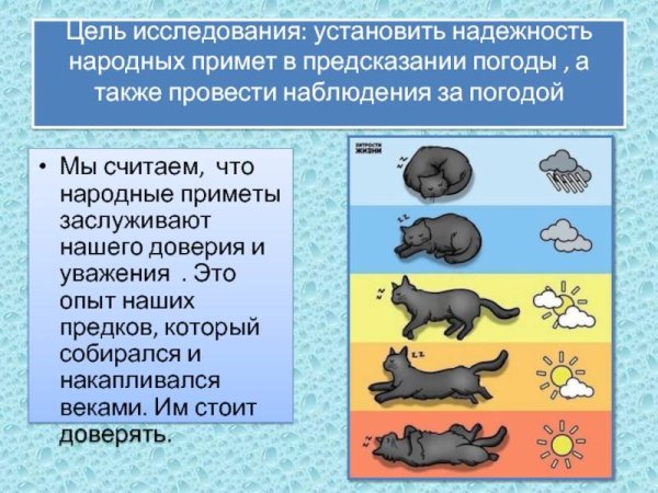 Народные приметы о погоде