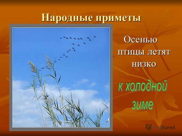 Народные приметы