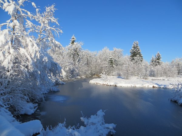Красота зимы