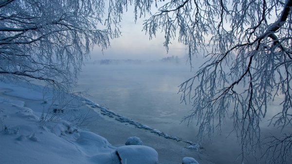 Зимняя стужа