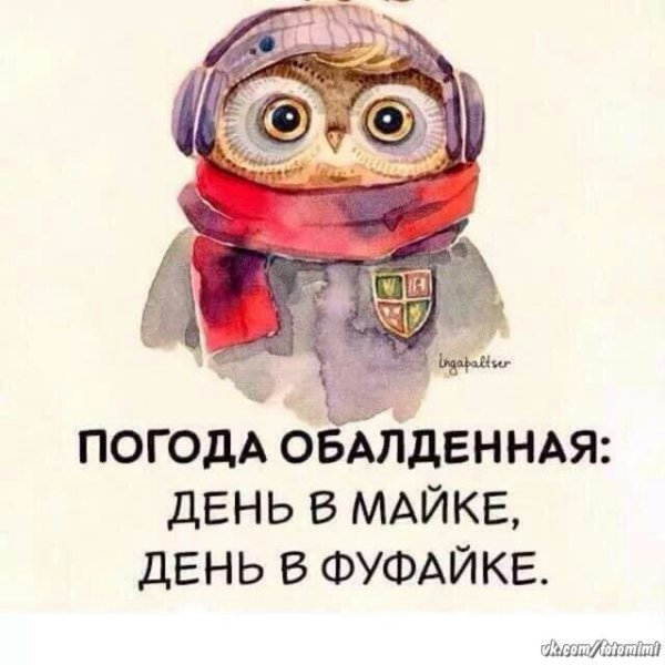 День в майке день в фуфайке