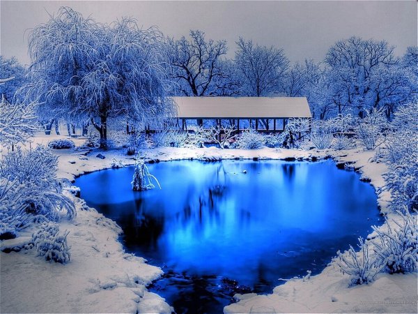 Сказочное зимнее озеро