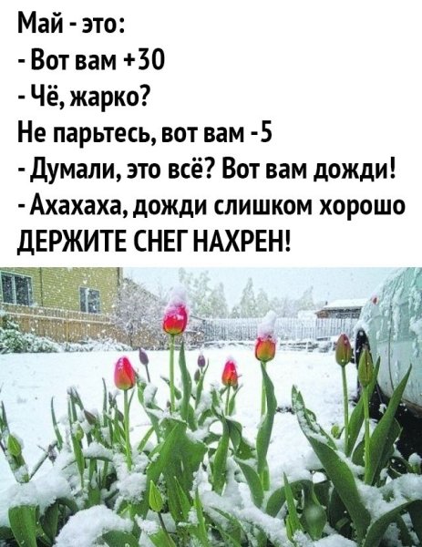 День в майке день в фуфайке