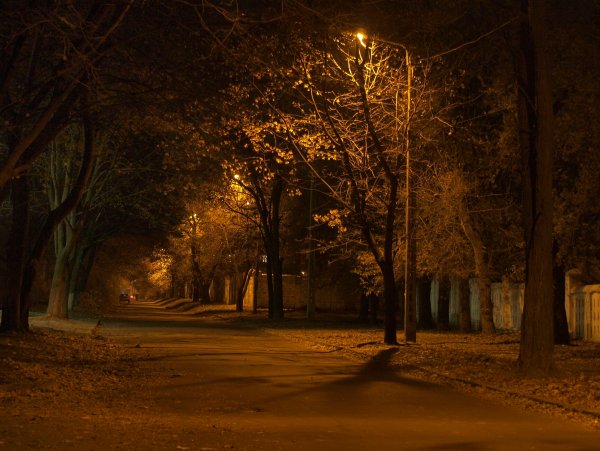 Улица вечером