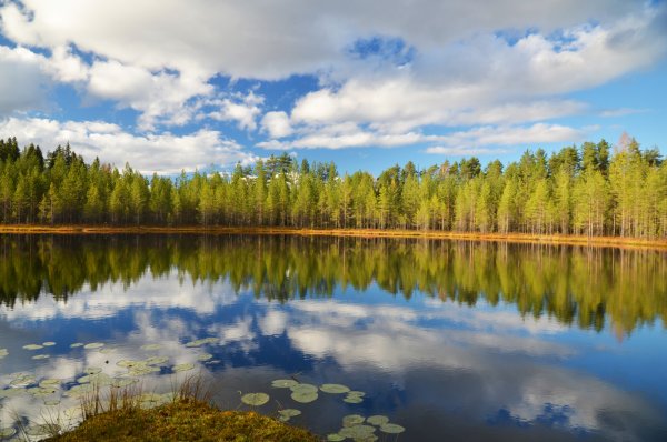 Озеро Муляна Карелия