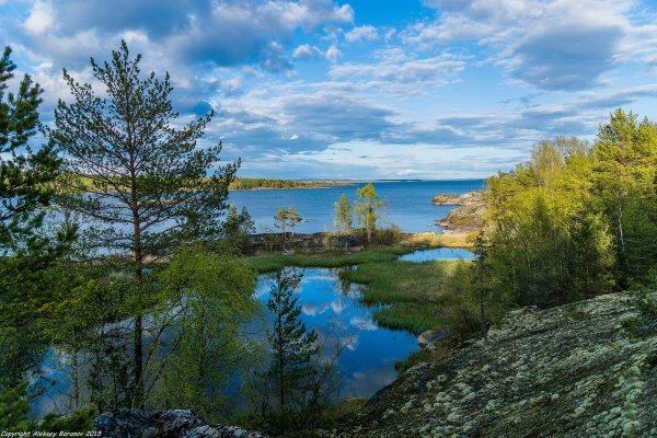 Ладожское озеро лес